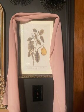 Soft Pink Chiffon Scarf